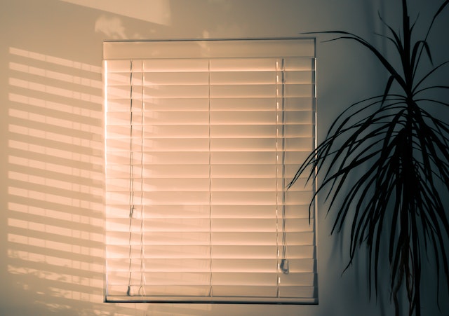 The Role of Window Shades in Neighborhoods and Public Spaces